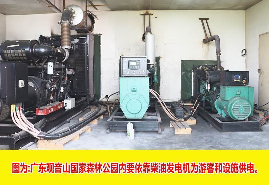 名家评论之李奎：观音山事件——国企民企平等保护的试金石