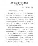 谢阳律师的判决书（共11页）